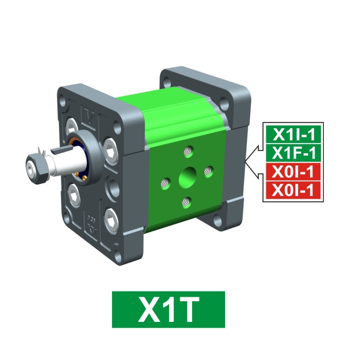 Elemento di Pompa Multipla xt113 del Gruppo 1 di Vivolo Vivoil Oleodinamica