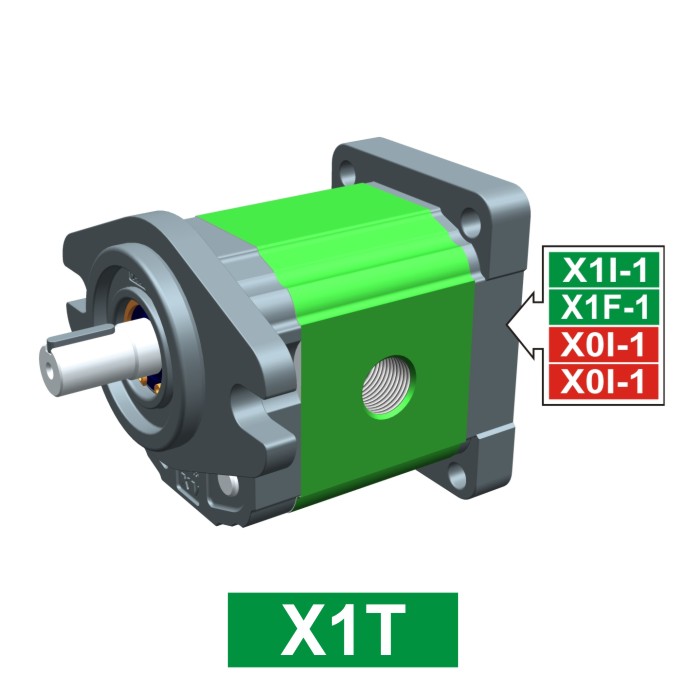 Elemento di Pompa Multipla xt168 del Gruppo 1 di Vivolo Vivoil Oleodinamica