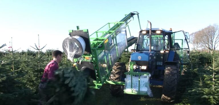 Hydraulic Pumps & Motors for Cutting/Packing Fir Trees